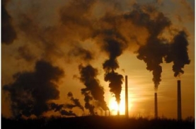 ¯Ҥ������Ⱦ��