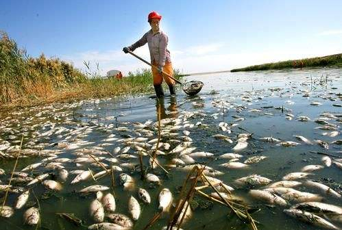 山东第三方环境检测 山东第三方环境检测