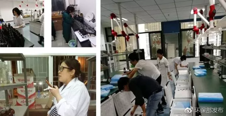 1508375260235079.jpg 1019.jpg